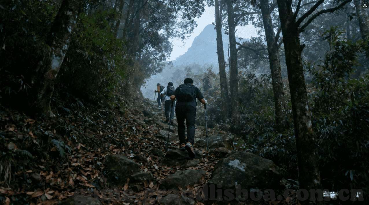 澳门葡京网上赌场官网-澳门葡京网上赌场官网，探索虚拟世界的娱乐与风险